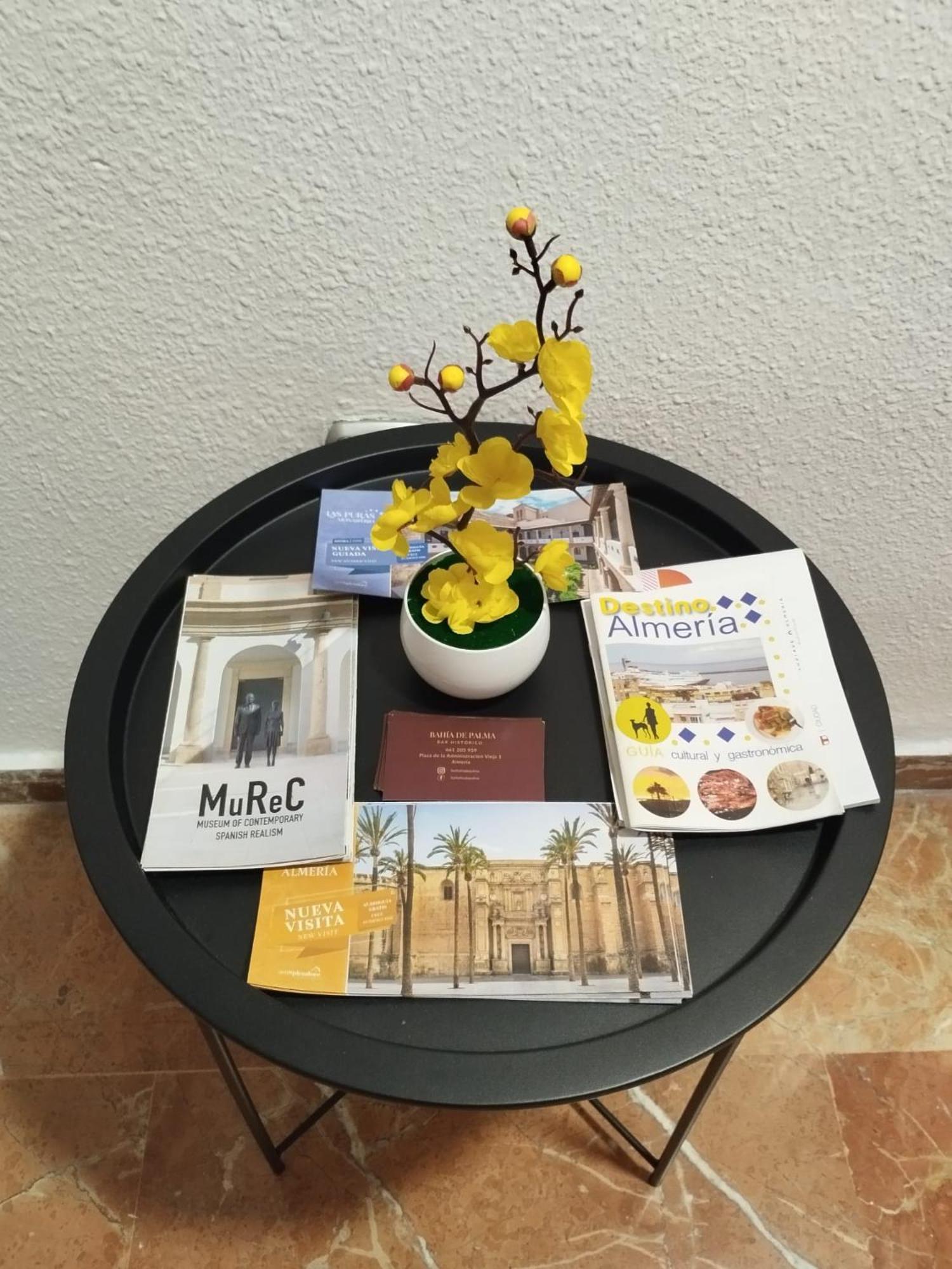 알메리아 Piso Museo Del Realismo - Catedral - Alcazaba Con Parking Gratis - Super Wifi 아파트 외부 사진